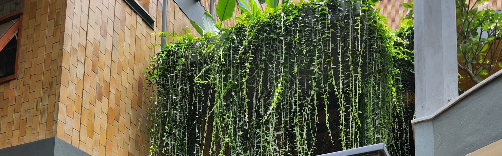 Art Yard landscape design showcase