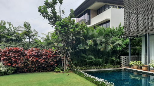 Mr. Mani - Completed landscape design project by Art Yard