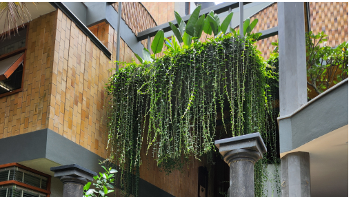 Mr. Umakantha - Completed landscape design project by Art Yard